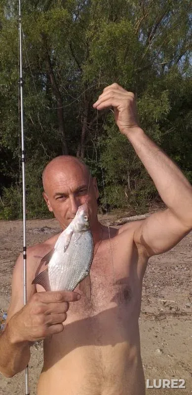 Bream — Irtysh, Jul 11, 2019