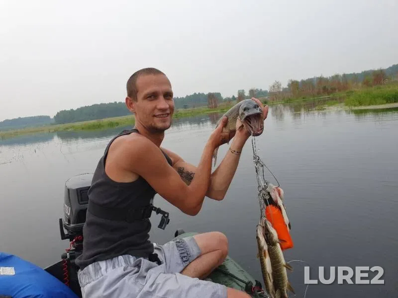 Pike — Omskaya oblast, Tyukalinskiy rayon, Jul 23, 2019
