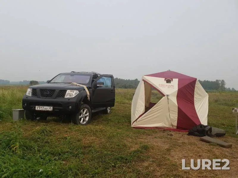 Pike — Omskaya oblast, Tyukalinskiy rayon, Jul 25, 2019