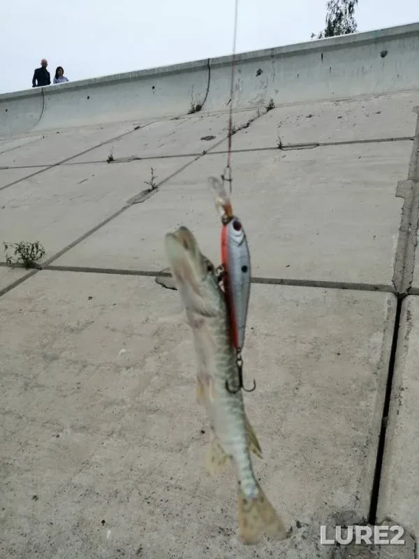 Pike — Irtysh, Jul 29, 2019