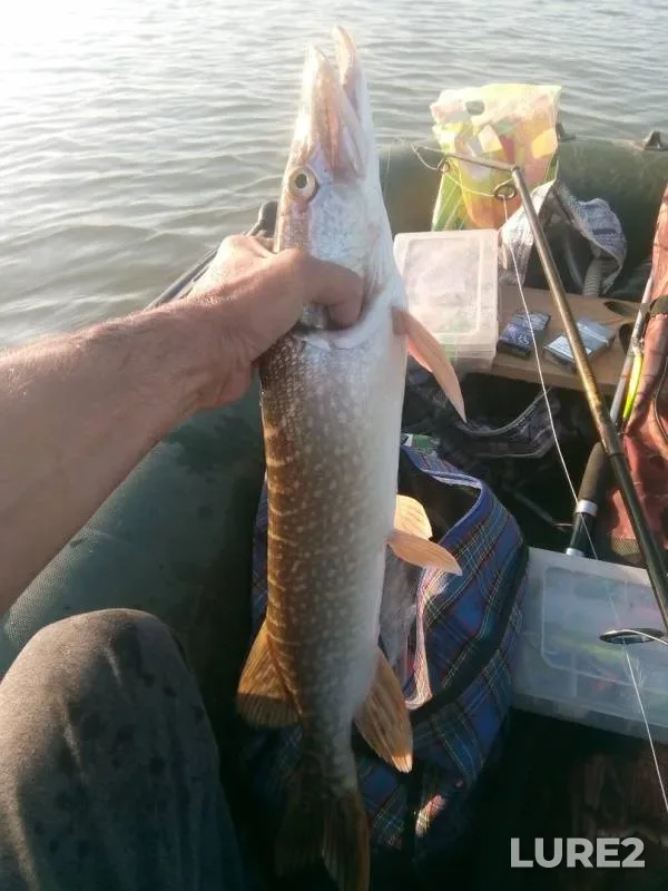 Pike — Irtysh, Jul 30, 2019