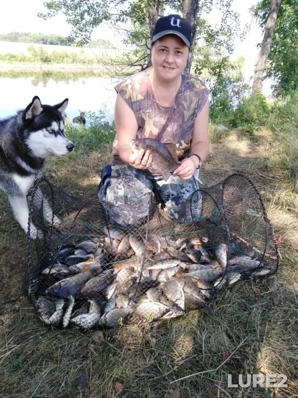 Crucian carp, Perch — Omskaya oblast, Tyukalinskiy rayon, Aug 11, 2019