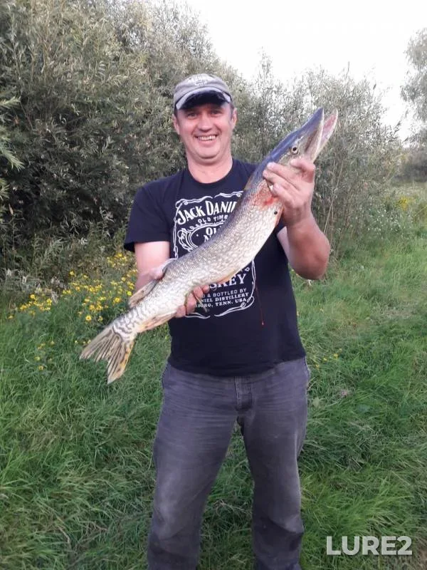 Pike — Irtysh, Aug 22, 2019