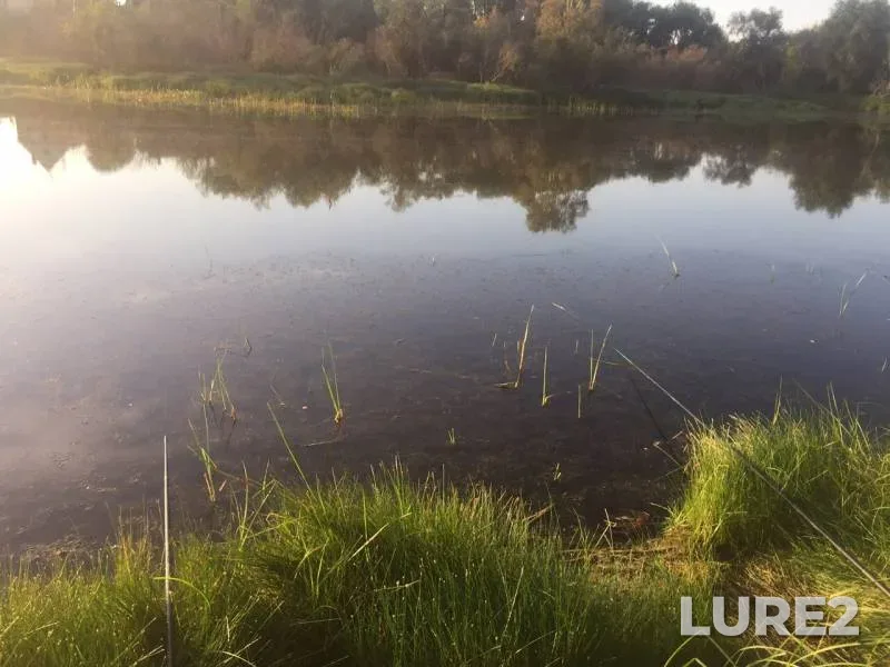 Crucian carp, Pike — Irtysh, Aug 26, 2019