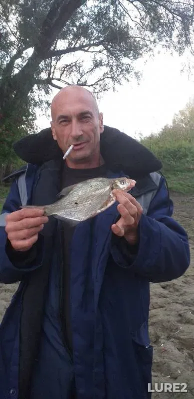 Bream — Om, Sep 10, 2019