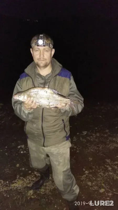 Bream — Irtysh, Sep 19, 2019