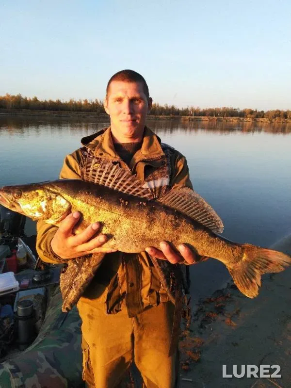 Zander — Irtysh, Oct 07, 2019