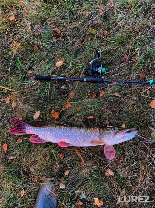Pike — Om, Oct 07, 2019