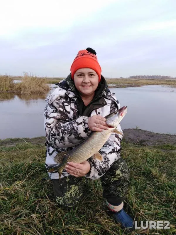 Crucian carp, Pike — Omskaya oblast, Tyukalinskiy rayon, Oct 10, 2019
