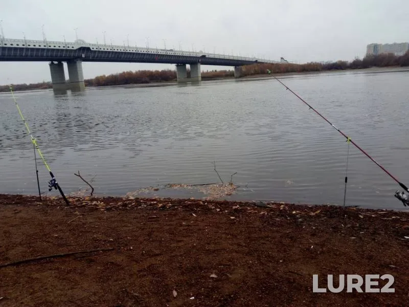 Bream — Irtysh, Oct 14, 2019