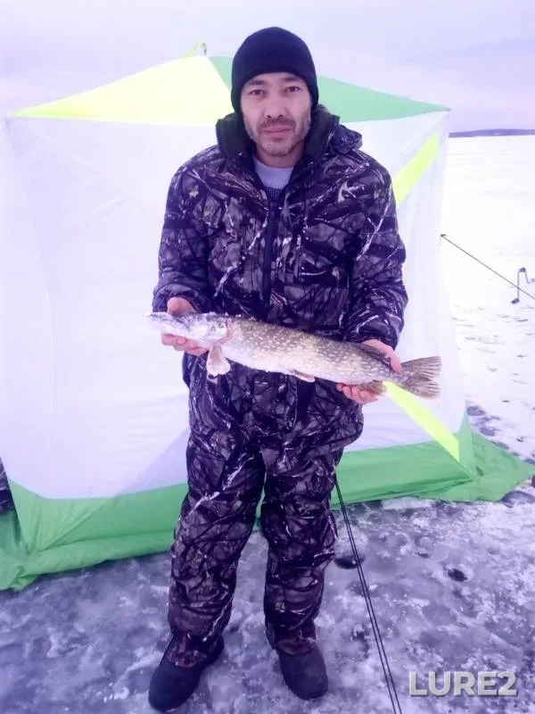 Pike — Chebarkul, Nov 25, 2018