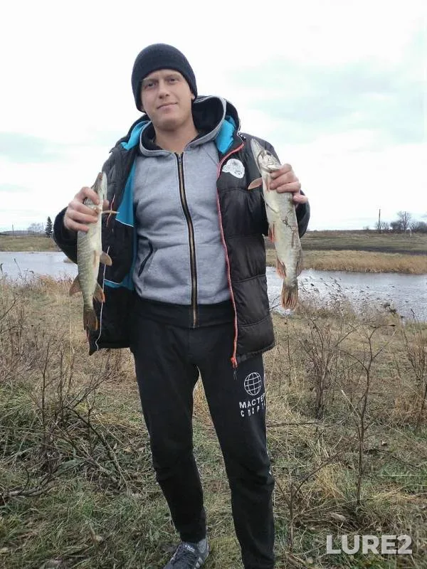 Pike — Omskaya oblast, Tyukalinskiy rayon, Nov 11, 2019