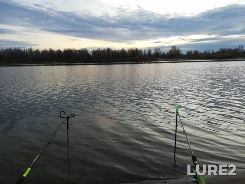 Bream — Irtysh, Nov 12, 2019