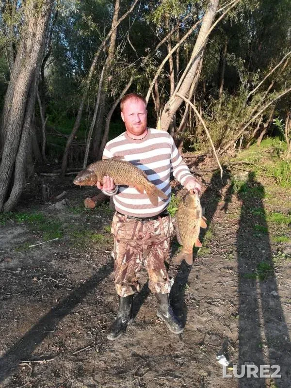 Carp — Irtysh, Nov 14, 2019