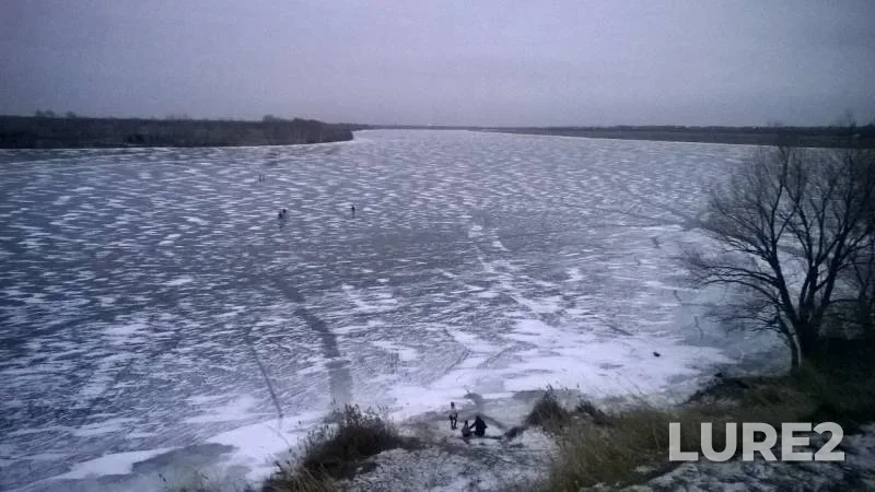 Roach — Omskaya oblast, Lyubinskiy rayon, Nov 16, 2019