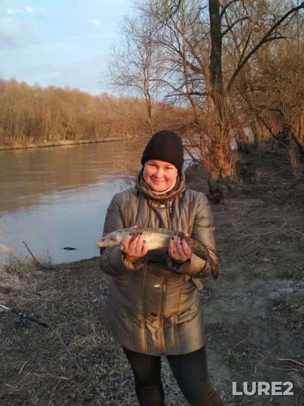 Burbot — Irtysh, Nov 23, 2019