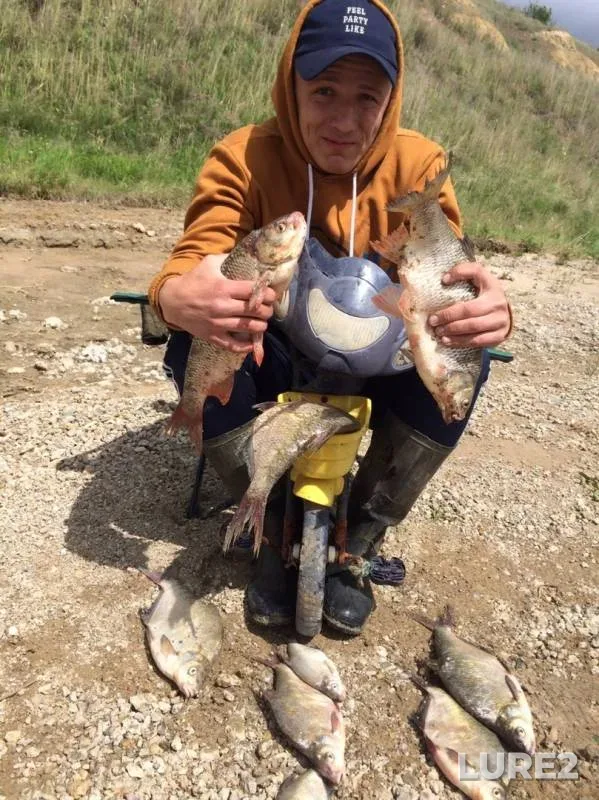Bream, Burbot — Irtysh, Nov 24, 2019