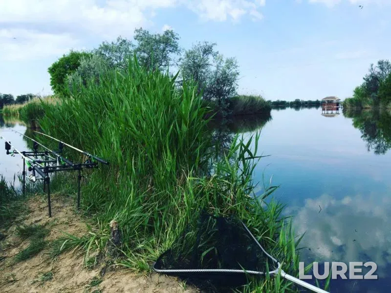 Crucian carp — Zaporіzka oblast, May 28, 2017