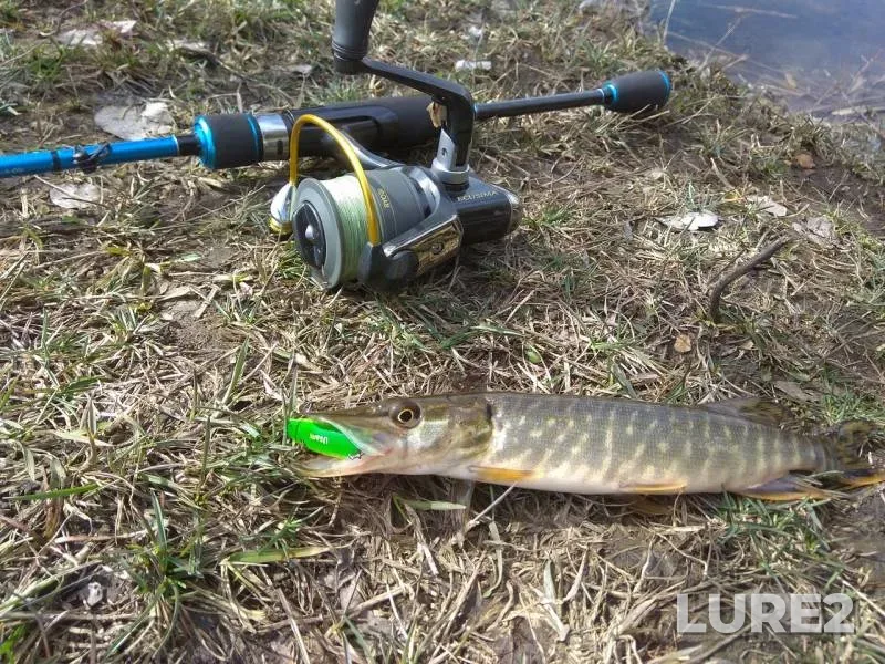 Pike — Zaporіzka oblast, Apr 05, 2018