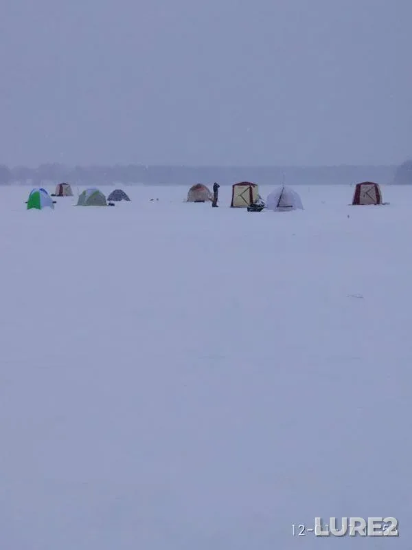 Bream — Desnogorskoye, Jan 13, 2017