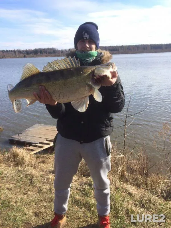 Zander — Moskovskaya oblast, Ruzskiy gorodskoy okrug, Apr 15, 2017