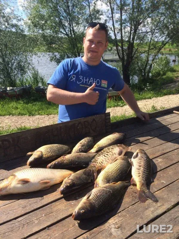 Carp — Severka, Jun 18, 2017