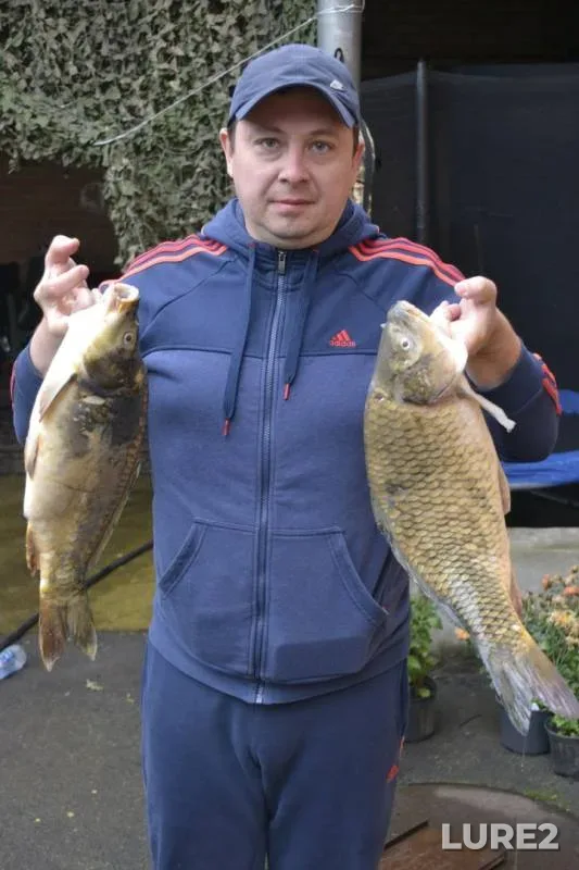Carp — Samarskaya oblast, Sep 27, 2016