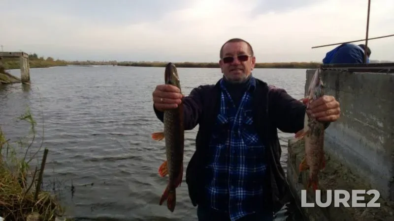 Pike — Samarskaya oblast, Oct 07, 2016