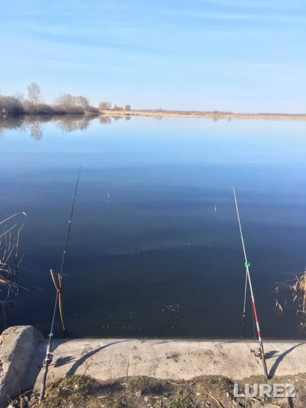 Crucian carp — Samarskaya oblast, Apr 16, 2019