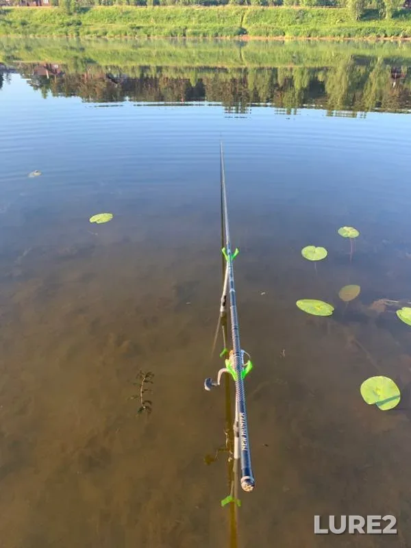 Bream, Perch — Volga, Jun 19, 2019