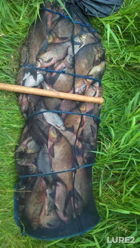 Bream — Volga, Jun 24, 2019
