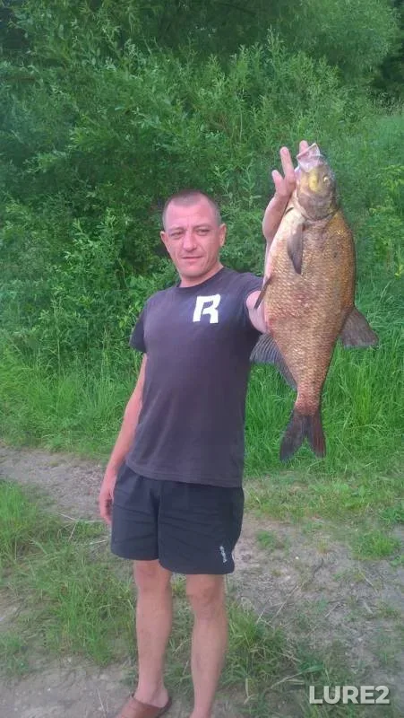 Bream — Volga, Jun 25, 2019