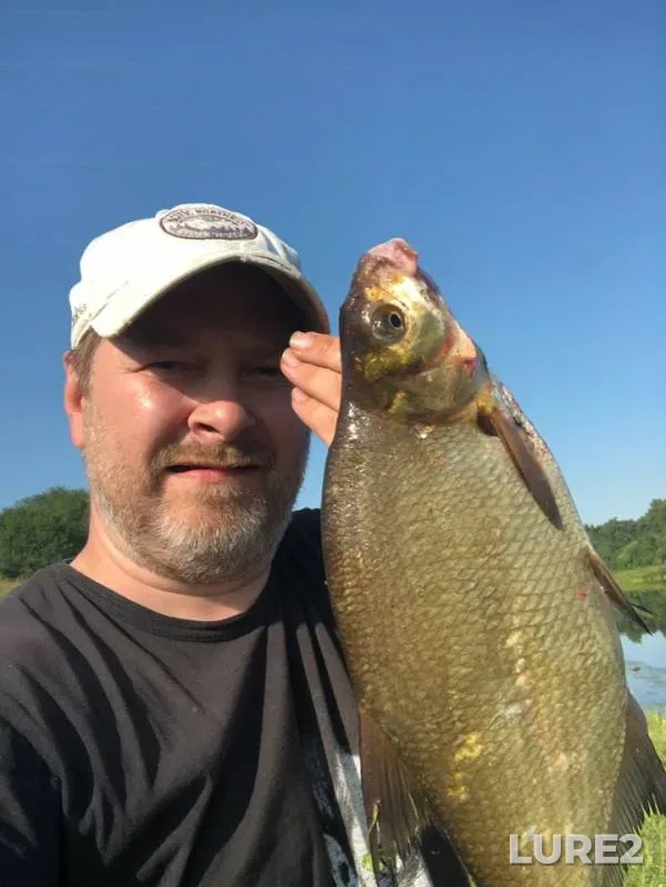 Bream — Volga, Jul 22, 2019