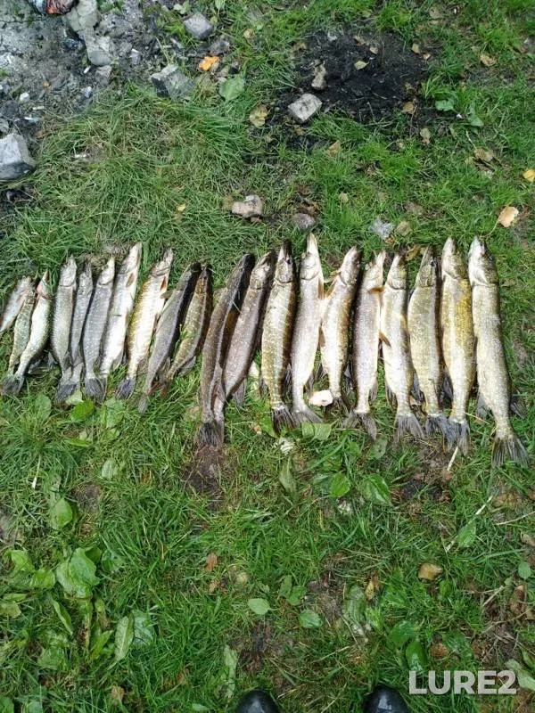 Pike — Stradovnya, Jul 22, 2019