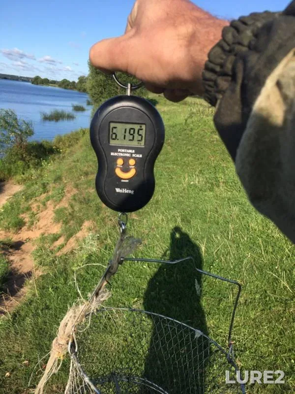 Bream — Volga, Jul 30, 2019