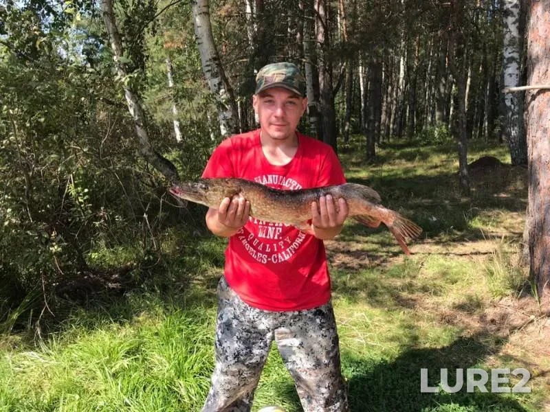 Pike — Sebla, Jul 30, 2019