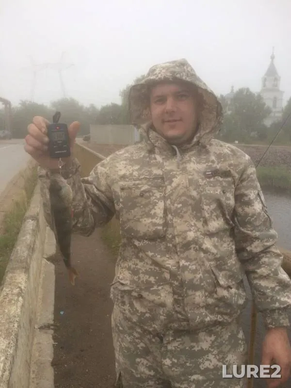Perch — Pesvo, Aug 03, 2019
