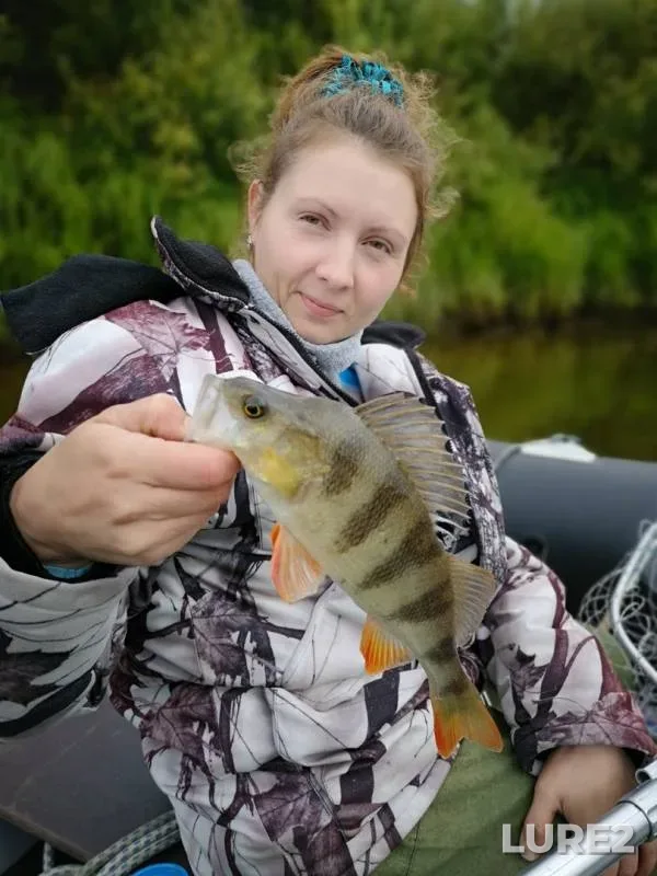 Perch — Mogocha, Aug 05, 2019