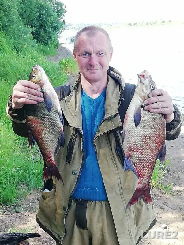 Bream — Volga, Aug 06, 2019