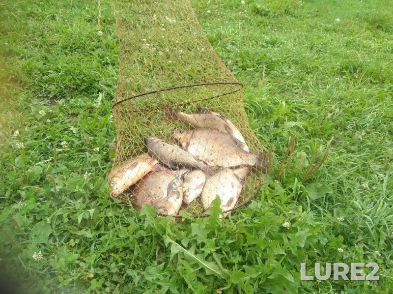 Bream — Volga, Aug 13, 2019