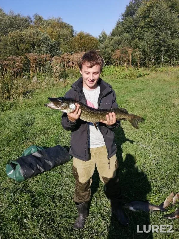 Pike — Mologa, Aug 29, 2019