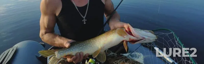 Pike — Tvertsa, Sep 01, 2019
