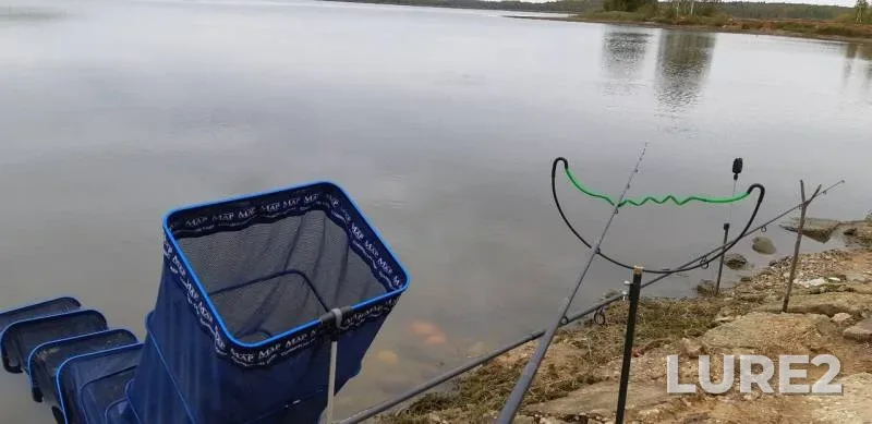 Carp — Selikhovskoye, Sep 27, 2019