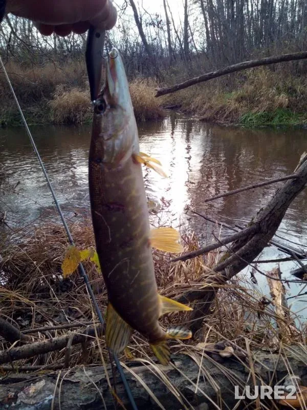 Pike — Tmaka, Oct 26, 2019