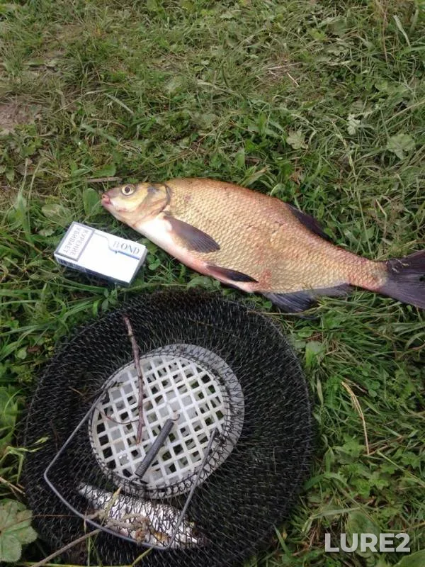 Bream — Polikarpov, Jul 10, 2018