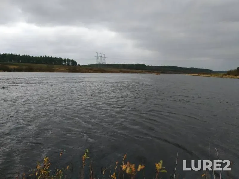 Pike — Volga, Oct 27, 2019