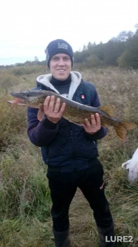 Pike — Mologa, Nov 14, 2019