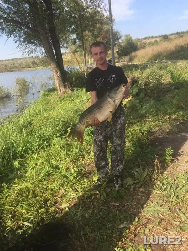 Carp — Voronezhskaya oblast, Apr 13, 2019