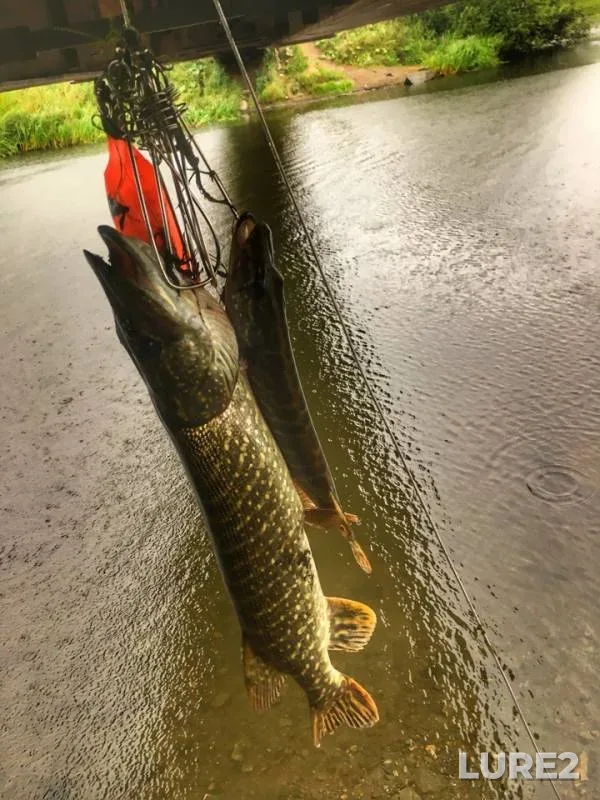 Pike — Miass, Aug 23, 2018