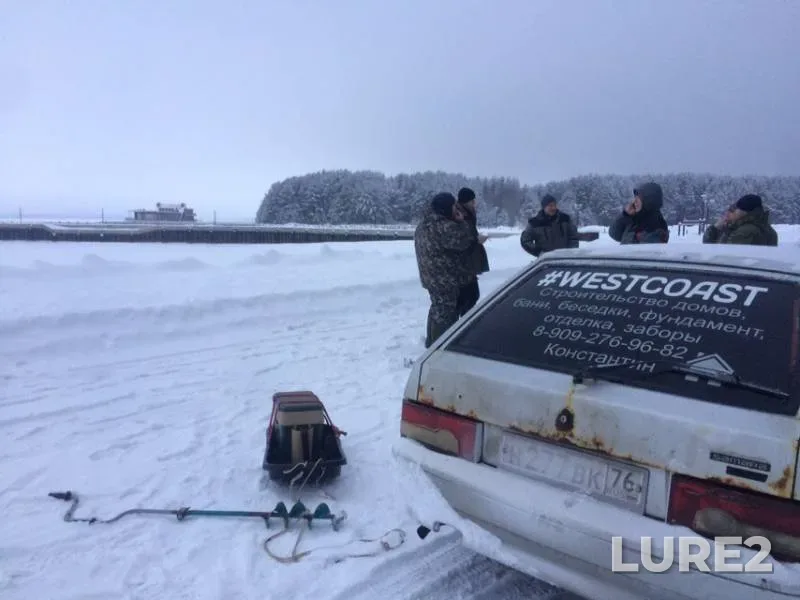 Roach — Volga, Feb 02, 2019